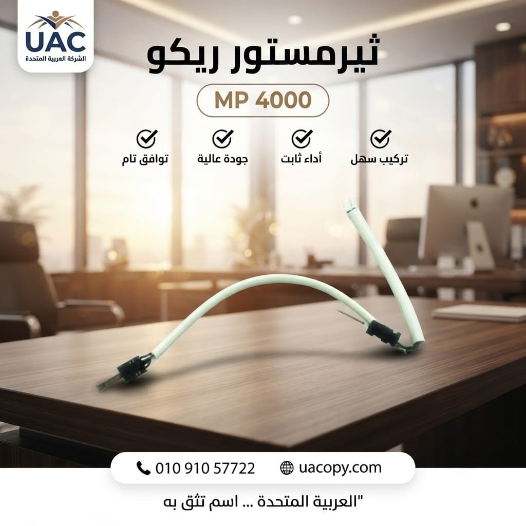 ثيرمستور ريكو 4000